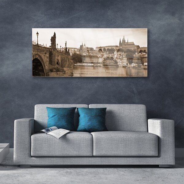Tablou pe sticla Praga Podul Peisaj Sepia