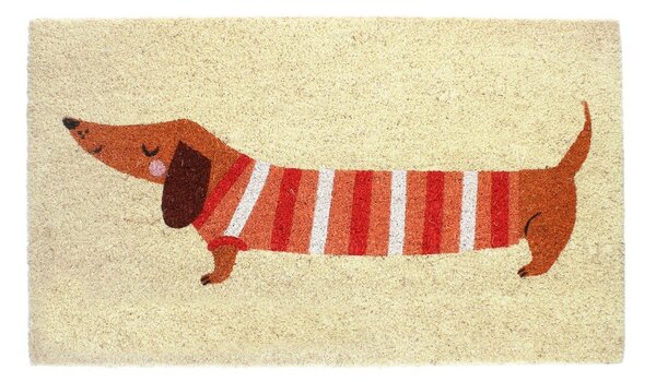 Covoraș de intrare din fibre de nucă de cocos 43x73 cm Sausage Dog – Rex London