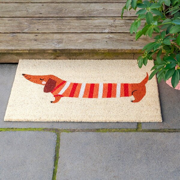 Covoraș de intrare din fibre de nucă de cocos 43x73 cm Sausage Dog – Rex London