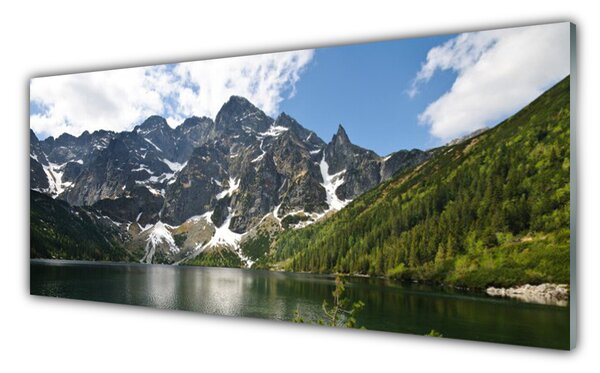 Tablou pe sticla Mountain Lake Forest Peisaj Verde Albastru Alb Gri