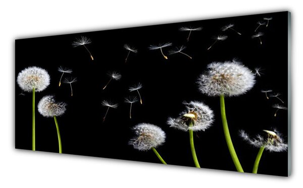 Panou sticla bucatarie Păpădia Floral Negru Verde Alb
