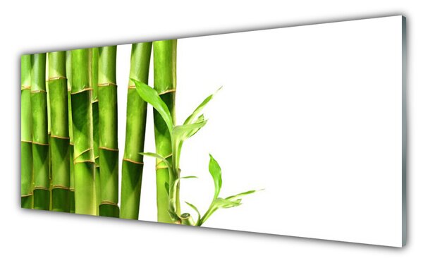 Tablou pe sticla Bamboo Floral Verde Alb