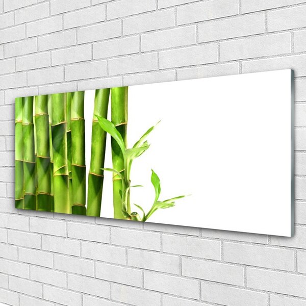Tablou pe sticla Bamboo Floral Verde Alb