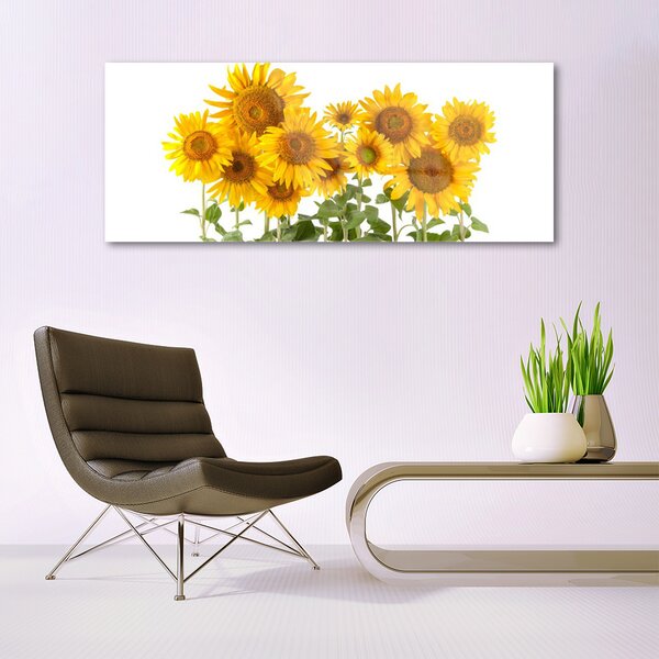 Tablou pe sticla Floarea soarelui Floral aur galben verde