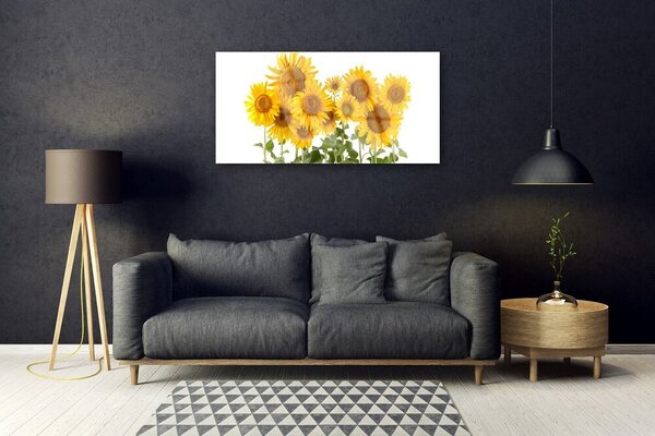 Tablou pe sticla Floarea soarelui Floral aur galben verde