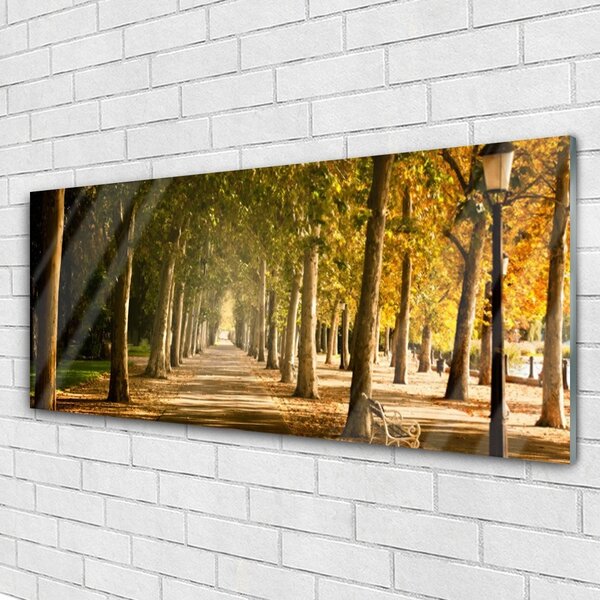 Tablou pe sticla Park Avenue Peisaj Brun Verde