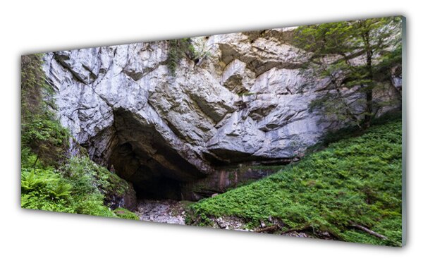 Panou sticla bucatarie Munte Cave Natura Verde Gri
