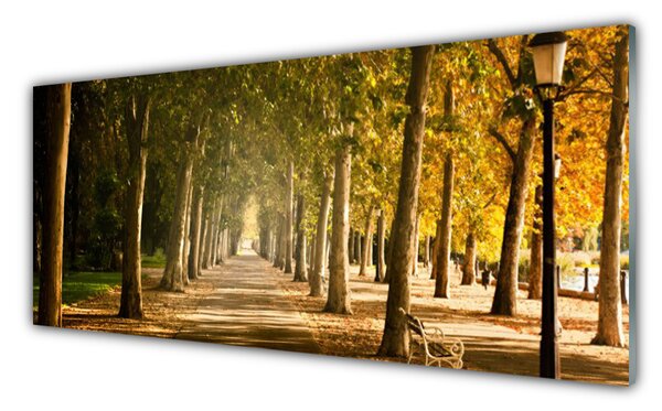 Tablou pe sticla Park Avenue Peisaj Brun Verde