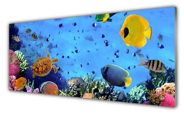 Tablou pe sticla Coral Reef subacvatice de pește Natura Albastru Galben Multi