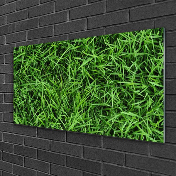 Tablou pe sticla Iarbă Lawn Floral Verde