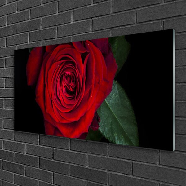 Tablouri acrilice Rose Floral Roșu Verde Negru