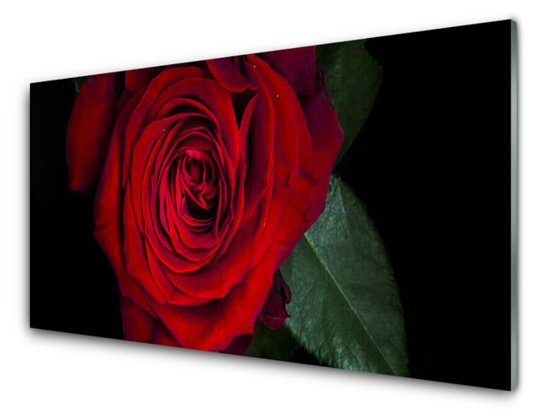 Tablouri acrilice Rose Floral Roșu Verde Negru