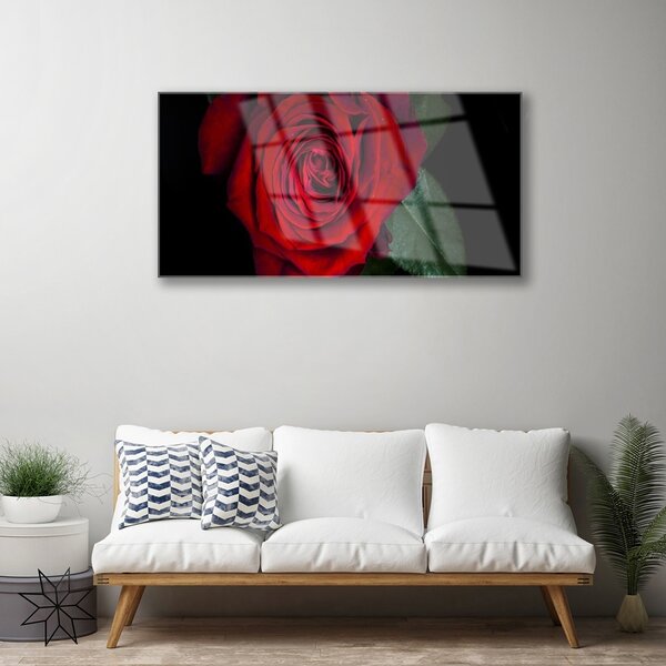 Tablouri acrilice Rose Floral Roșu Verde Negru