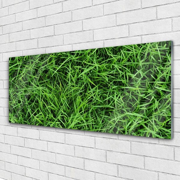 Tablou pe sticla Iarbă Lawn Floral Verde
