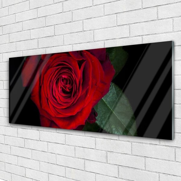 Tablouri acrilice Rose Floral Roșu Verde Negru