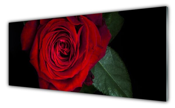 Tablouri acrilice Rose Floral Roșu Verde Negru