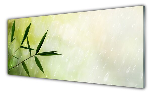 Tablou pe sticla Frunze de ploaie Floral Verde