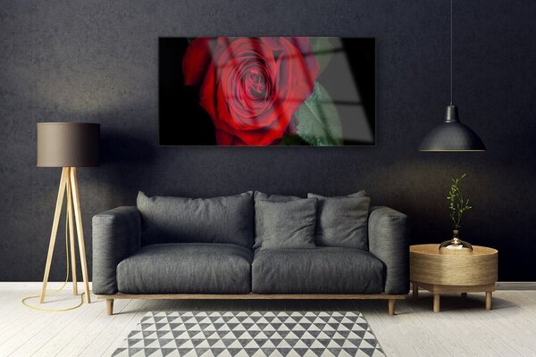 Tablouri acrilice Rose Floral Roșu Verde Negru