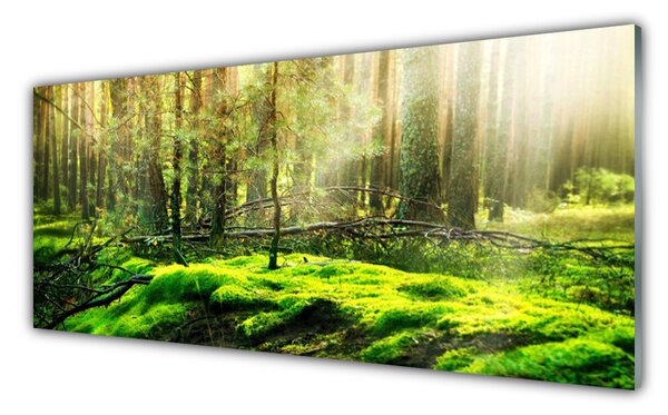 Tablou pe sticla Moss Natural Pădurea Verde