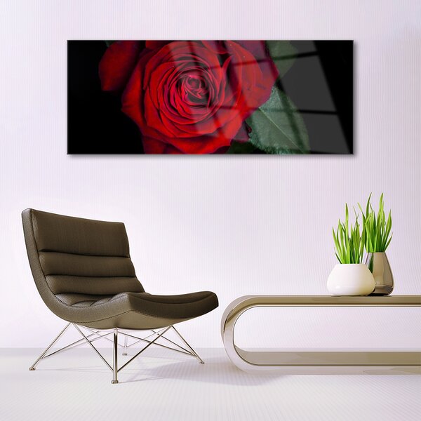 Tablouri acrilice Rose Floral Roșu Verde Negru