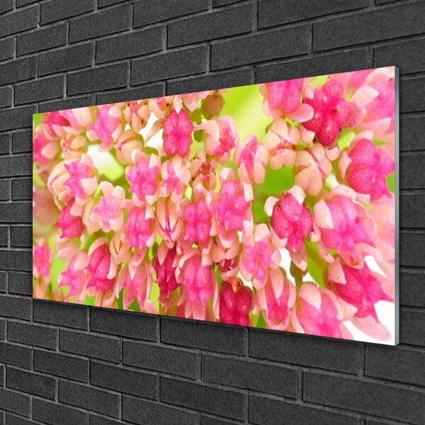 Tablou pe sticla Floare roz Floral