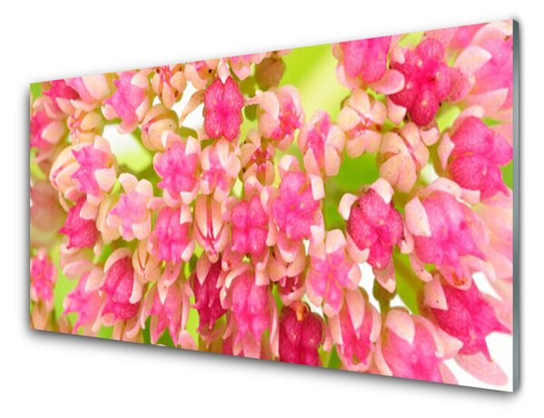 Tablou pe sticla Floare roz Floral