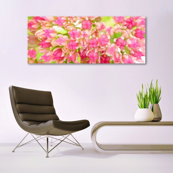 Tablou pe sticla Floare roz Floral