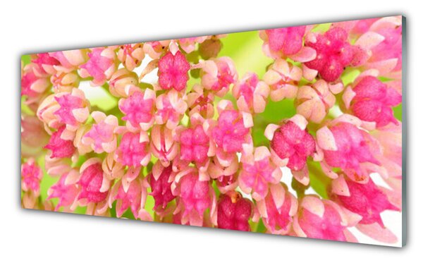 Tablou pe sticla Floare roz Floral