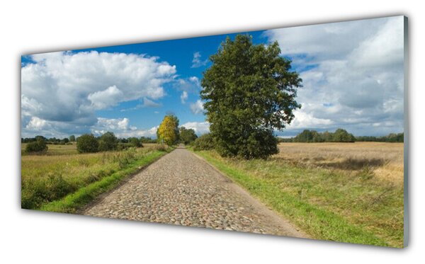 Panou sticla bucatarie Tara Road Pavaje Peisaj Verde Albastru