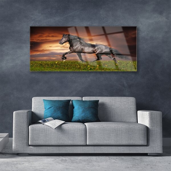 Tablou pe sticla Black Horse Meadow Animale Negru Verde Roșu