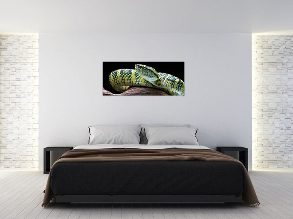 Tablou - Șarpele cu clopoței al lui Wagler (120x50 cm)