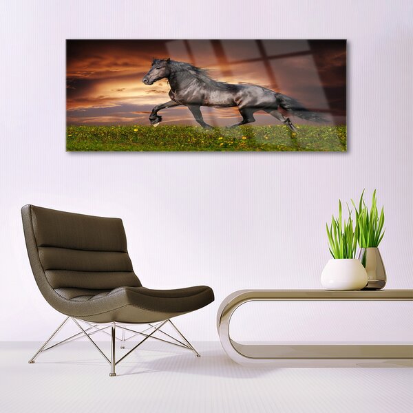 Tablou pe sticla Black Horse Meadow Animale Negru Verde Roșu