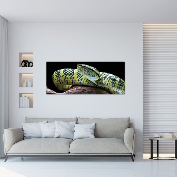 Tablou - Șarpele cu clopoței al lui Wagler (120x50 cm)