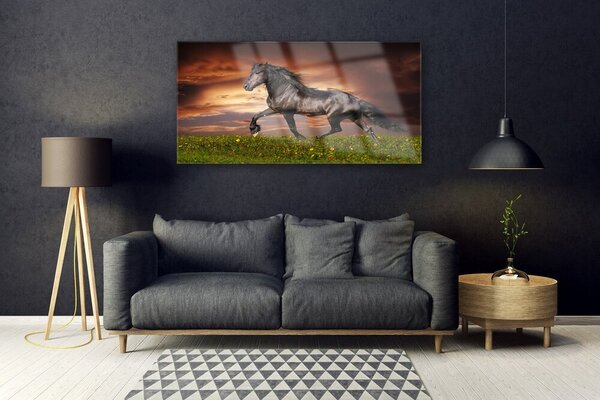 Tablou pe sticla Black Horse Meadow Animale Negru Verde Roșu