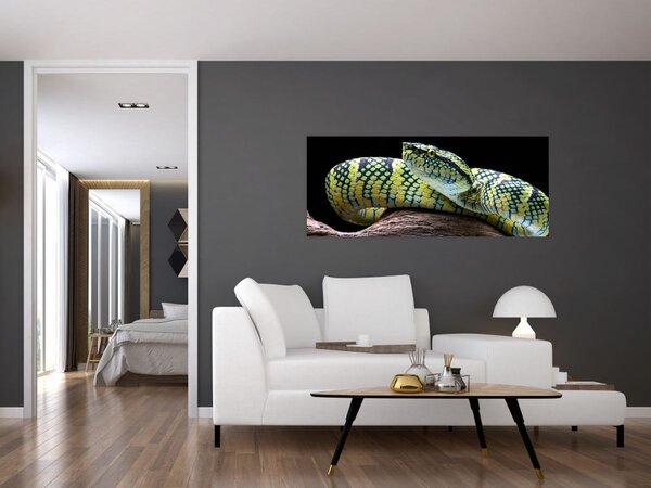 Tablou - Șarpele cu clopoței al lui Wagler (120x50 cm)