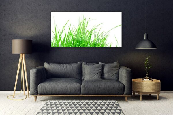 Tablou pe sticla Iarbă Floral Verde Alb