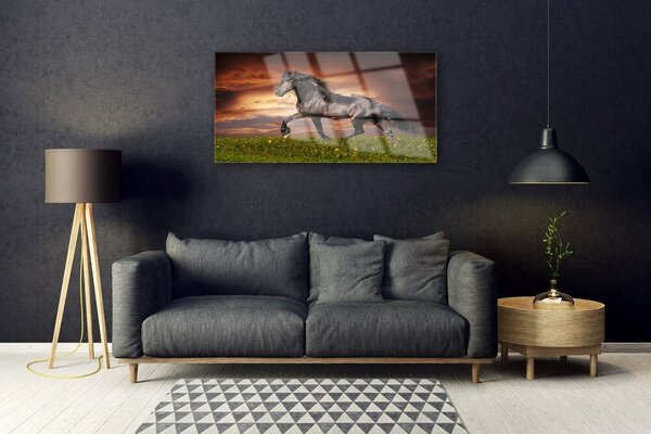 Tablou pe sticla Black Horse Meadow Animale Negru Verde Roșu