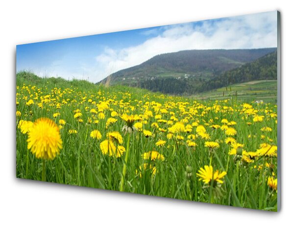 Panou sticla bucatarie Păpădie Câmp Natura Galben Verde Albastru