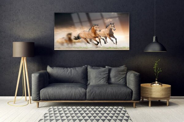 Tablou pe sticla Cai Animale Maro