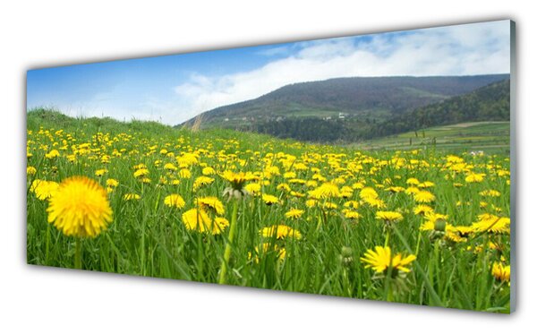 Panou sticla bucatarie Păpădie Câmp Natura Galben Verde Albastru