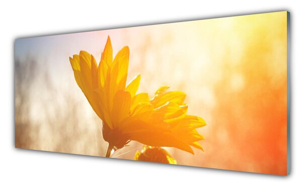Tablou pe sticla Floarea soarelui Floral Galben