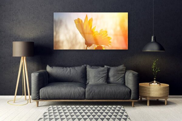 Tablou pe sticla Floarea soarelui Floral Galben