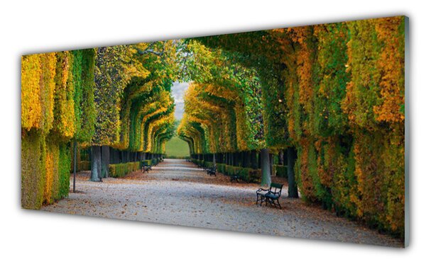 Panou sticla bucatarie Parcul de toamnă Grădină Natura Verde Galben