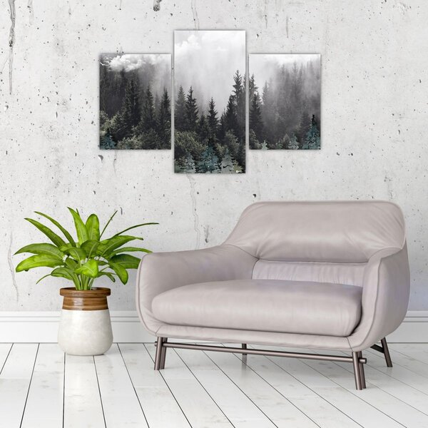 Tablou - Pădure cu elemente ilustrate (90x60 cm)