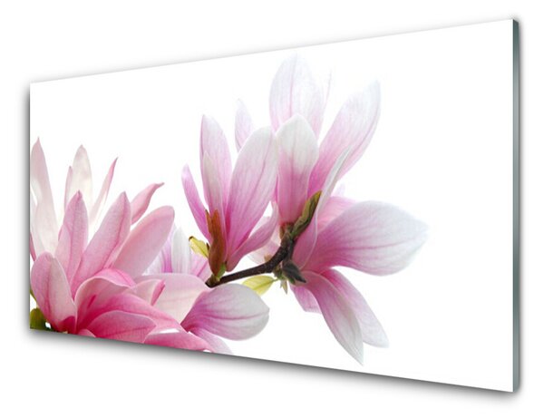 Panou sticla bucatarie Magnolia Blossoms Floral roz