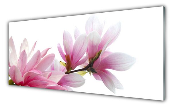 Panou sticla bucatarie Magnolia Blossoms Floral roz