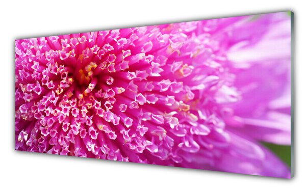 Tablou pe sticla Florale flori roz
