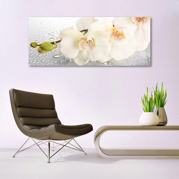 Tablou pe sticla Flori Floral Alb Gri