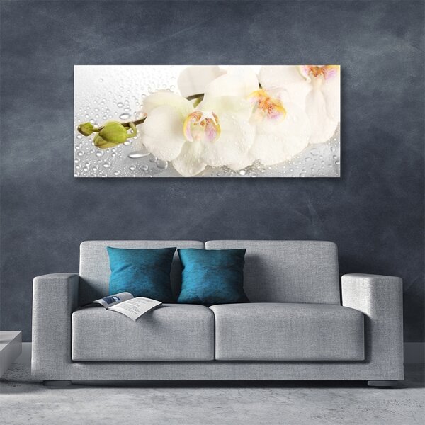 Tablou pe sticla Flori Floral Alb Gri