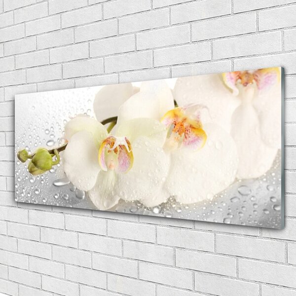 Tablou pe sticla Flori Floral Alb Gri